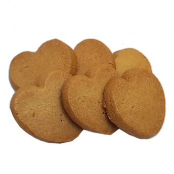 Biezen